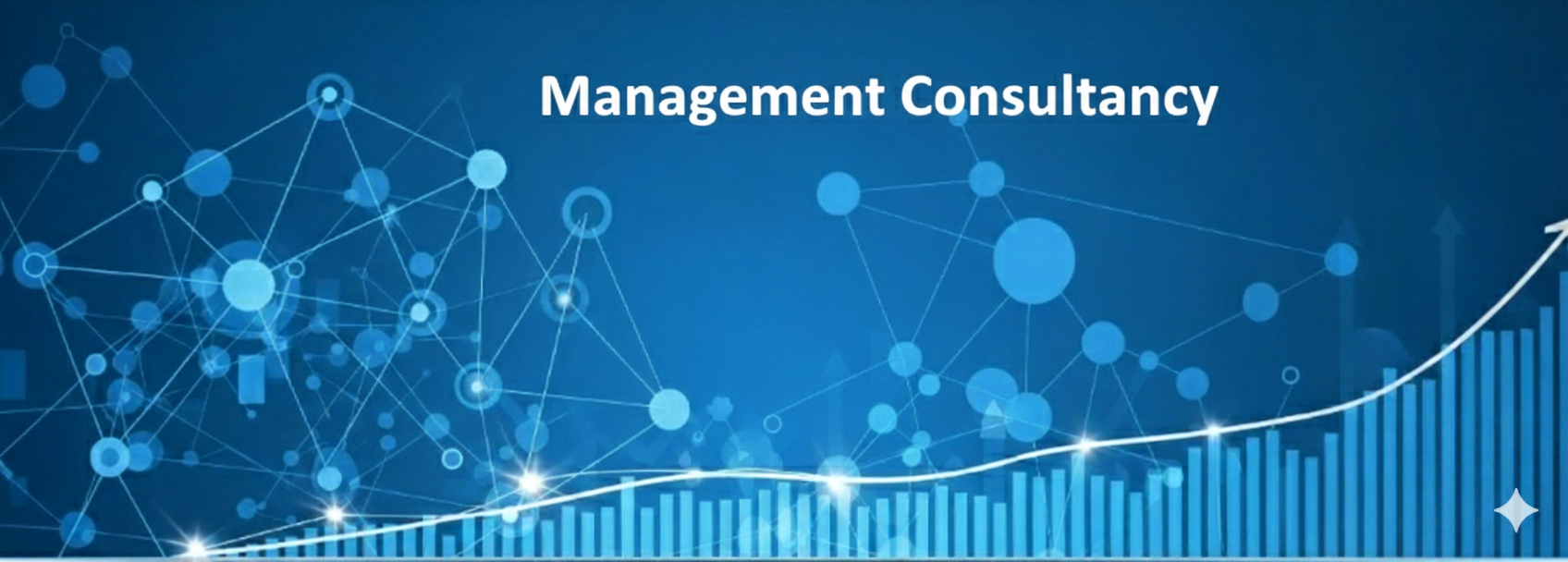 Management Consultancy